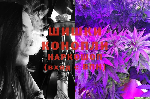 PSILOCYBIN Кущёвская