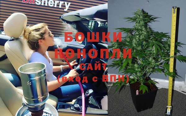 PSILOCYBIN Кущёвская