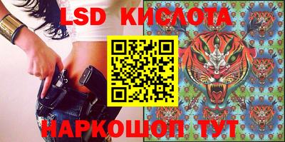 гашик Бийск