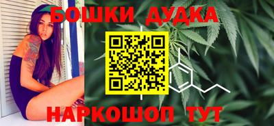 гашик Бийск