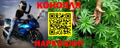 гашик Волжский