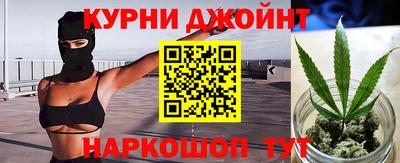 гашик Бийск