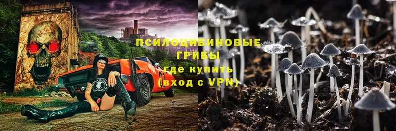 Галлюциногенные грибы Psilocybe  hydra ссылки  Красноармейск 