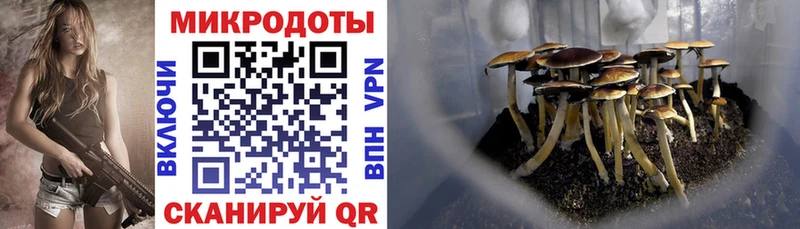 как найти закладки  Красноармейск  Галлюциногенные грибы GOLDEN TEACHER 