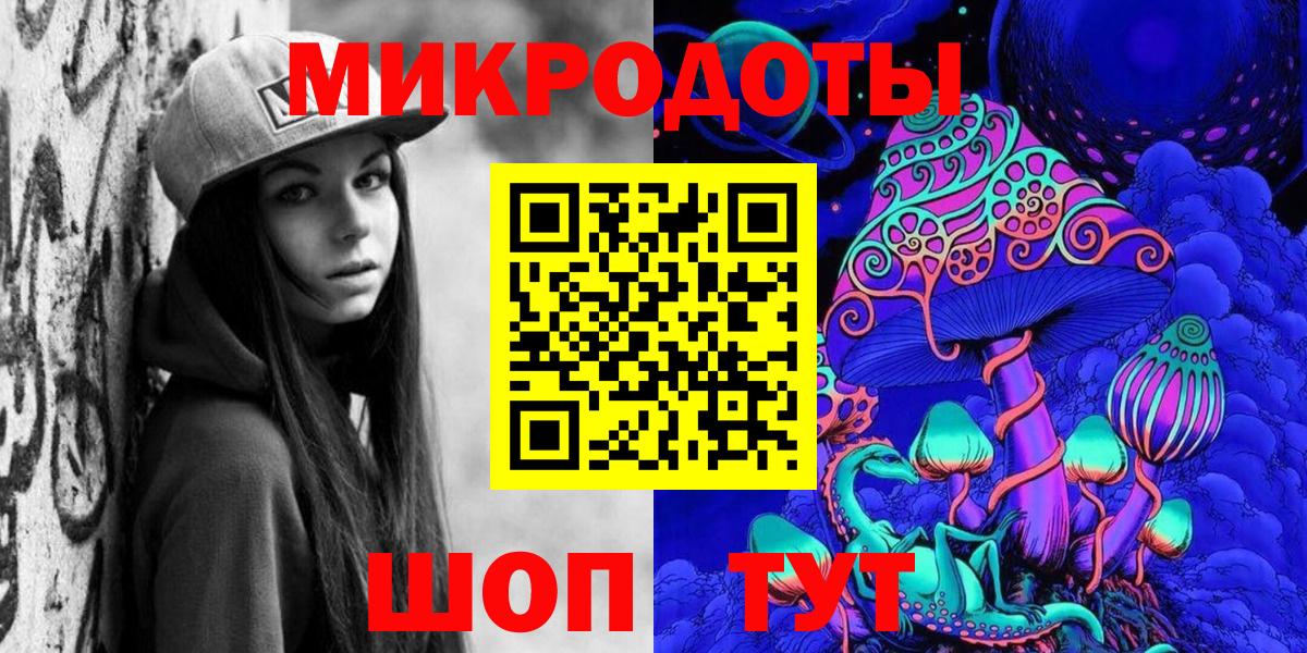 Псилоцибиновые грибы Psilocybe Красноармейск