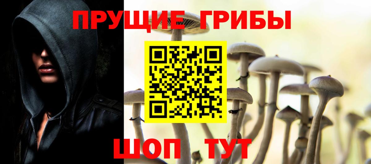 Псилоцибиновые грибы ЛСД  Вход с VPN  Псилоцибиновые грибы мицелий  Красноармейск 